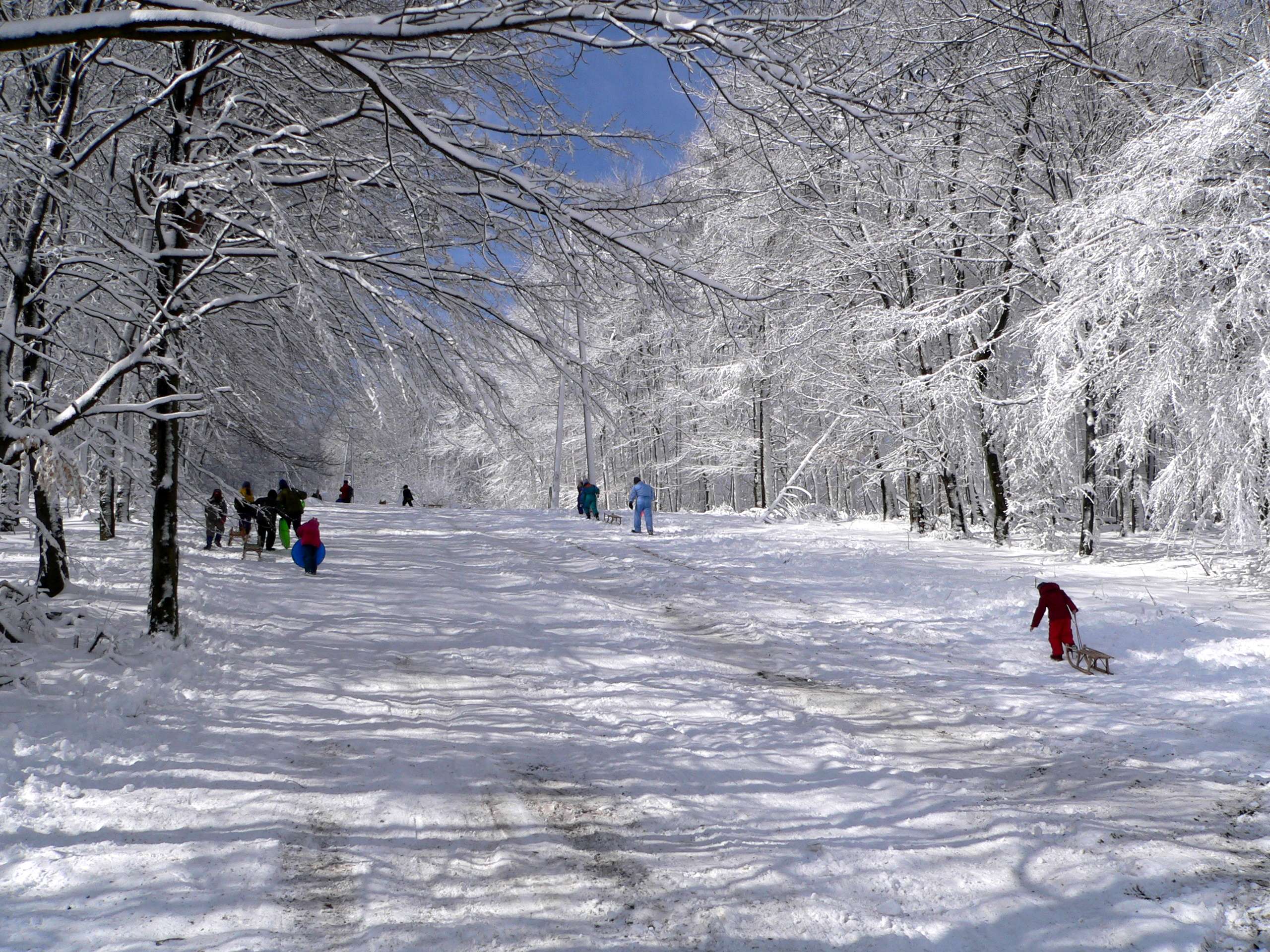 Legszebb téli fotók (Fotópályázat 2012-2013)
