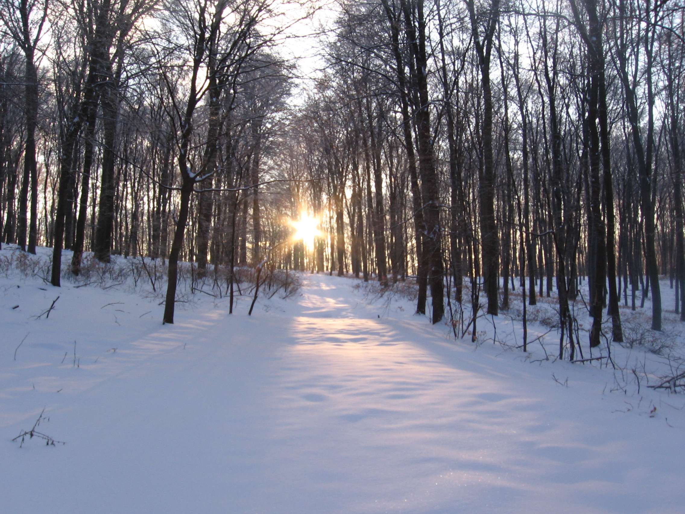Ez egy ilyen nap - Legszebb téli fotók (Fotópályázat 2012-2013)